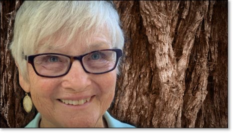 Ann Sullivan