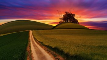 Long dirt road
